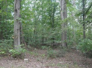 Bryson Cove Rd, Abingdon, VA 24210