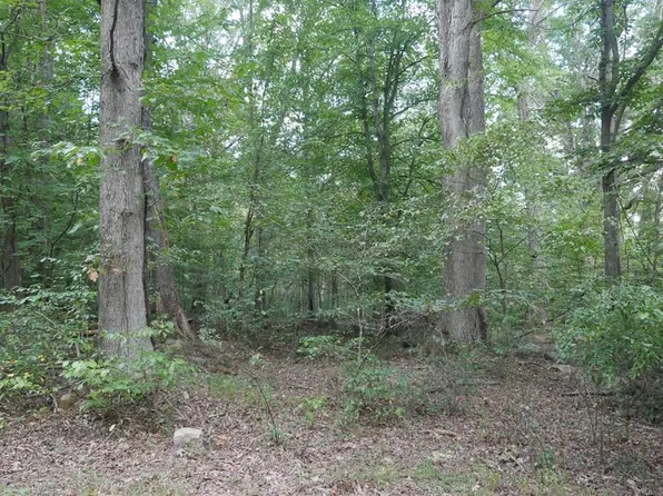 Bryson Cove Rd, Abingdon, VA 24210