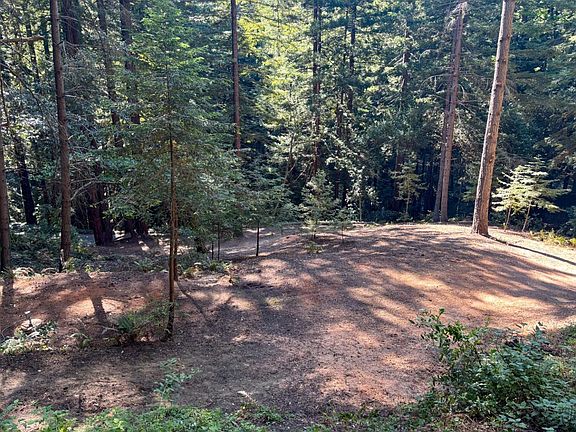 5th image of 15645 Stetson Rd