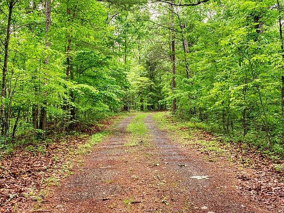 2nd image of 772 Naomi Ct