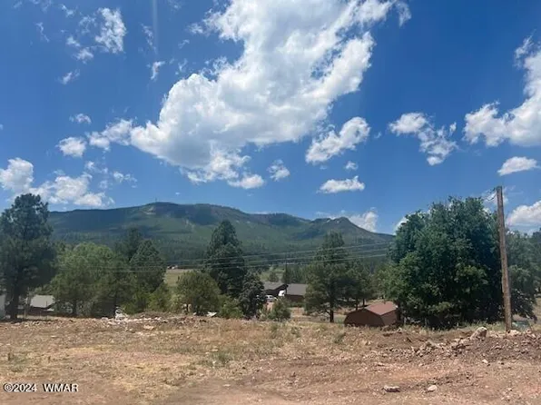 4 County Road 2059, Alpine, AZ 85920