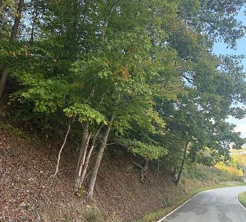 5th image of 0 County Road 2027