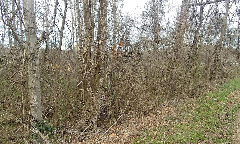 1st image of Clearview Dr