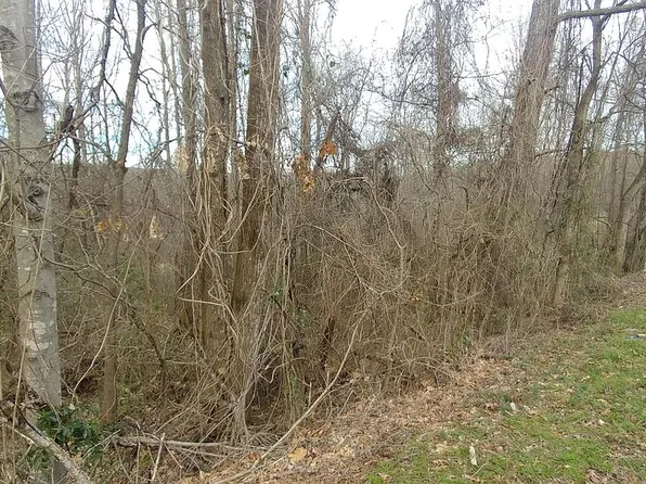 Clearview Dr, Rockwood, TN 37854