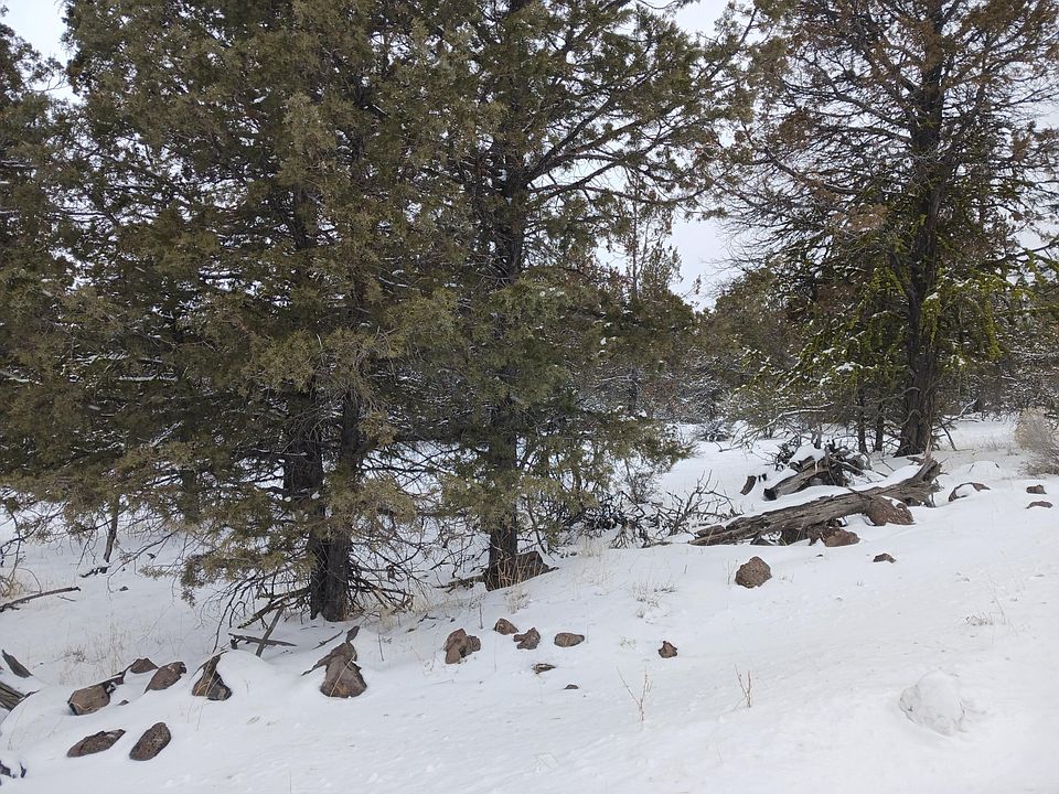 1st image of LOT 3100 Warbler Dr