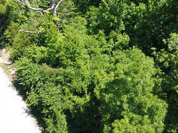 3rd image of Larayne Hollow Rd #924