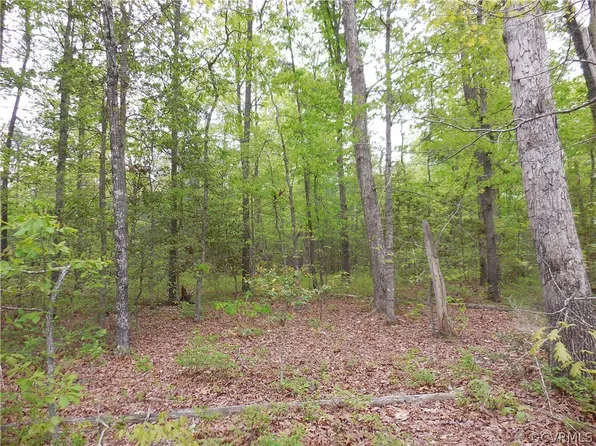 17128 Knoll Ridge Dr #8, Montpelier, VA 23192