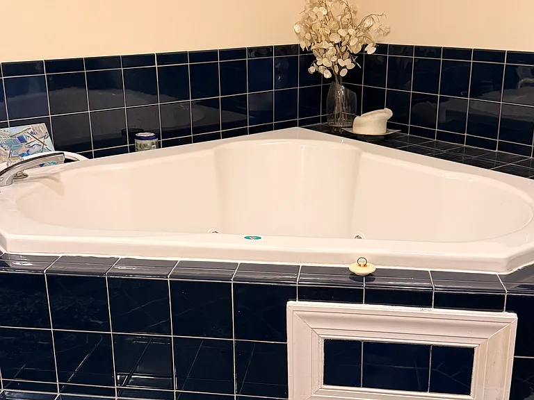 Master bathroom jacuzzi tub