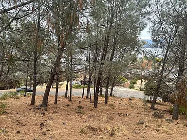 10860 Skyview Dr/Terrace Way