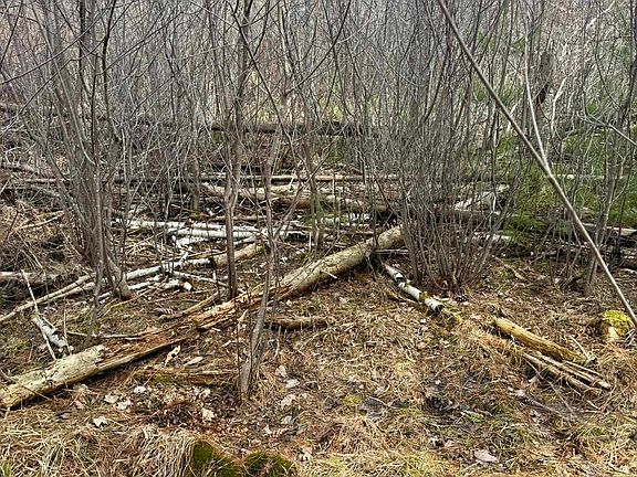 4th image of Krause Rd