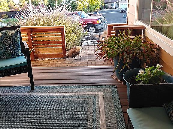 Front Deck