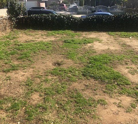 3rd image of 12217 Louis Ave