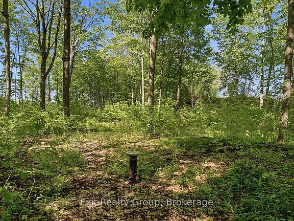 3rd image of 75 Spry Rd