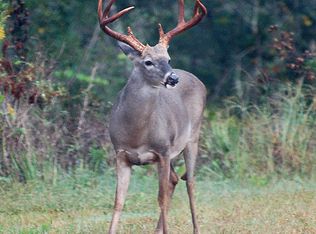 1396 W Bluffton Rd, Fort Gaines, GA 39851