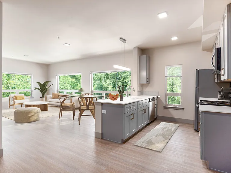 Kitchen / Living Room