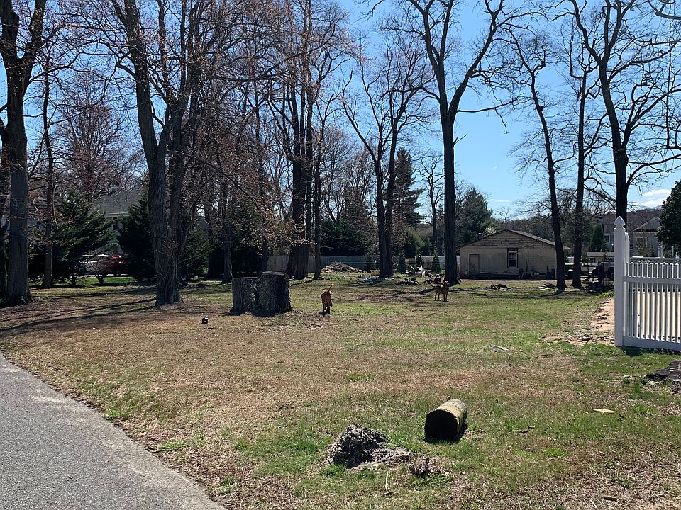 2nd image of Osborne Ave