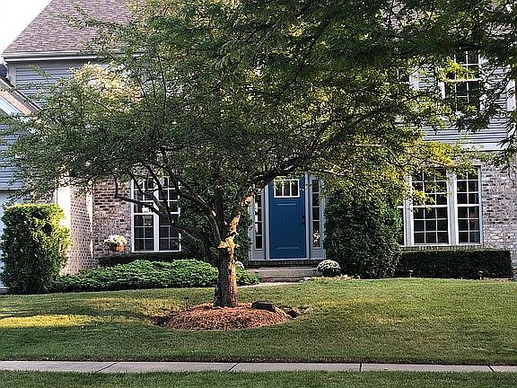 3rd image of 1217 Meadowlark Ln
