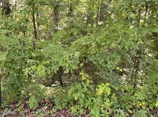 0 Madeline Ln, Rogersville, TN 37857