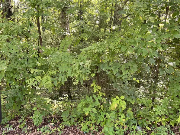 0 Madeline Ln, Rogersville, TN 37857
