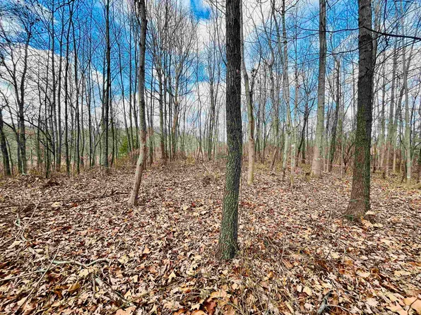 Tbd Jerusalem Chapel Rd, Churchville, VA 24421