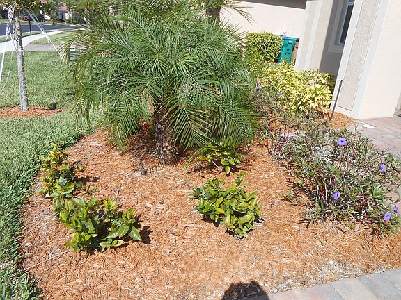 Landscaping