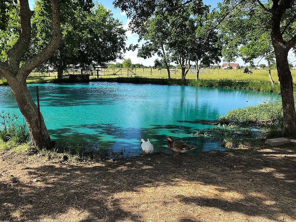 Beach front on pond