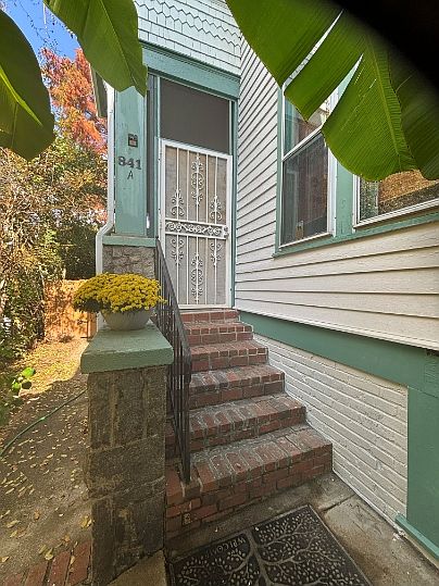 Front door to screened in front porch. Sounded by banana trees