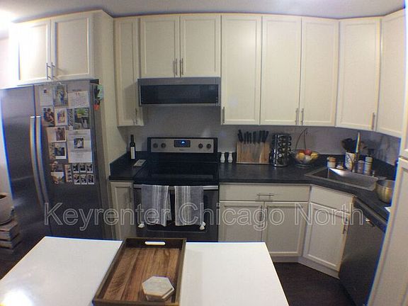 4th image of 1355 N Sandburg Ter APT 407D