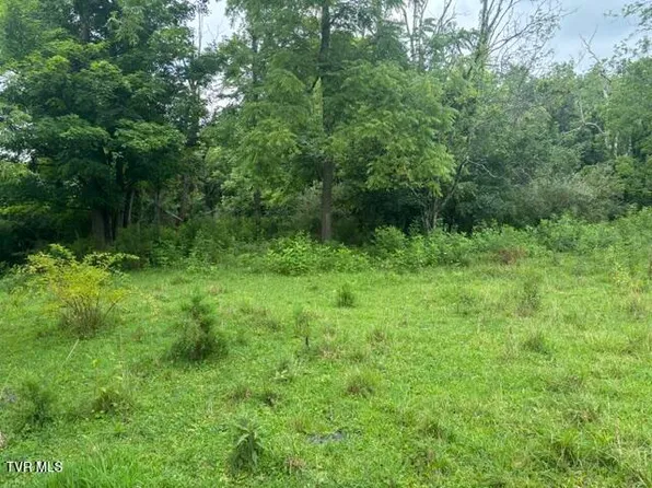 444 Bullock Hollow Rd, Bristol, TN 37620