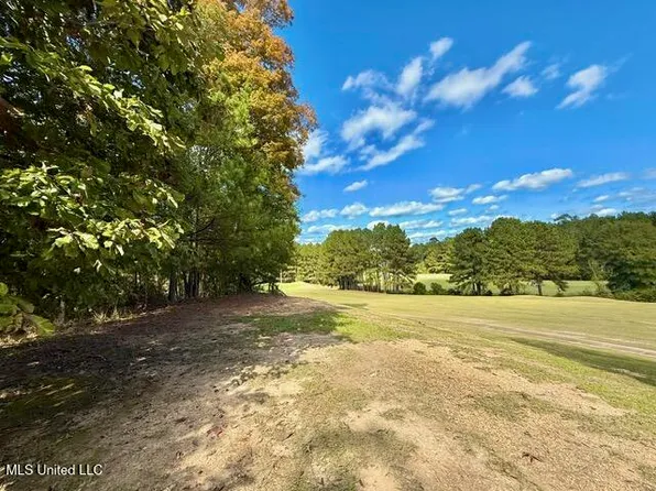 0 Milltowne Dr, Wesson, MS 39191