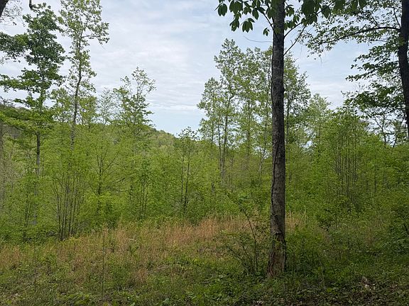 2nd image of 999 Big Cave Rd