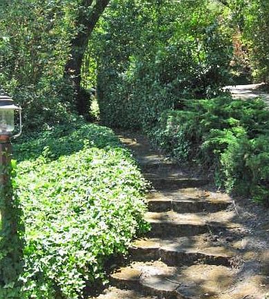 Winding Steps from Street