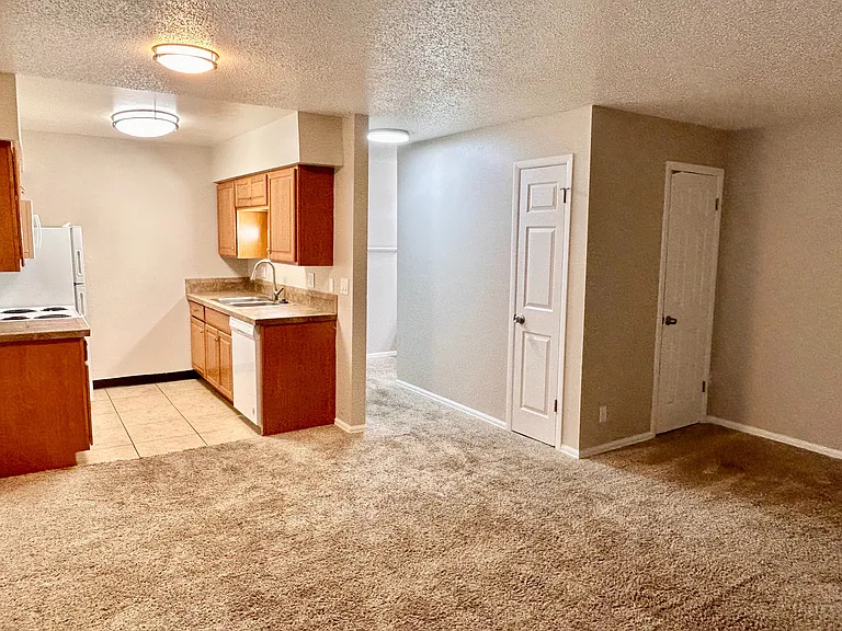 Cozy apartment interior featuring an open kitchen with modern appliances and a spacious living area with plush carpet.