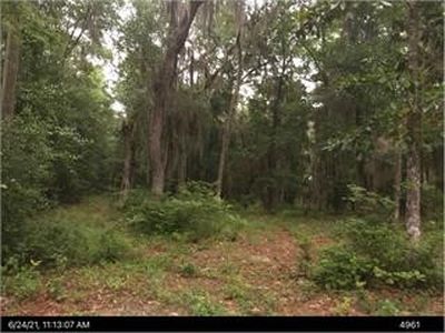 2153 Hawthorne Rd NE, Townsend, GA, 31331