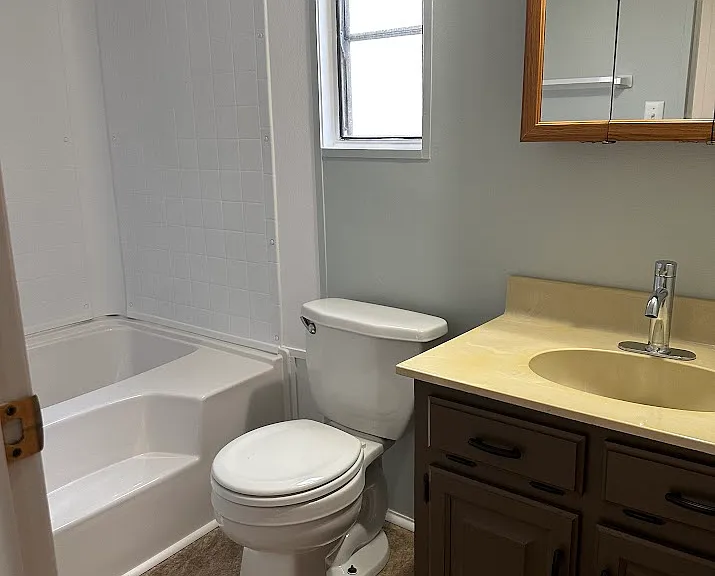 Master bathroom with soaking tub
