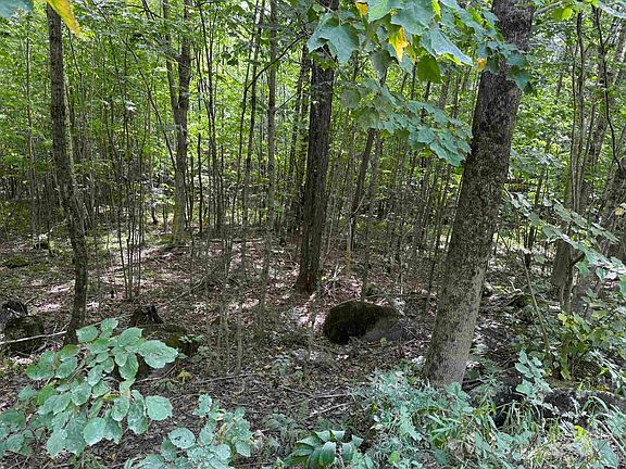 4th image of 000 Granby Road