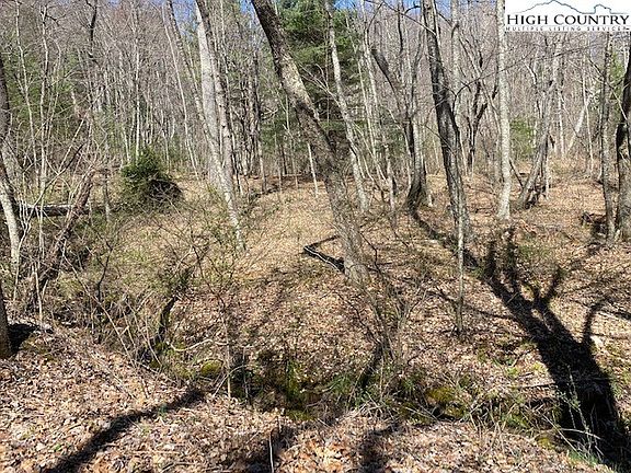 3rd image of TBD Laurel Mountain Drive