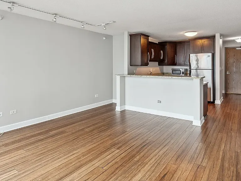 2 E Erie St #2801 — Photo 6