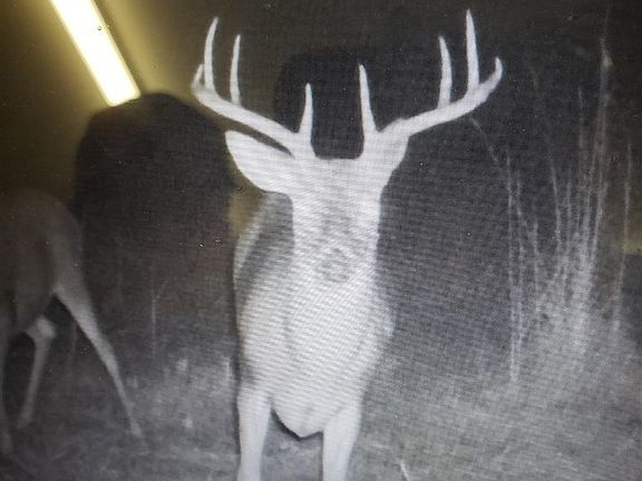 2nd image of N Amanda Ln