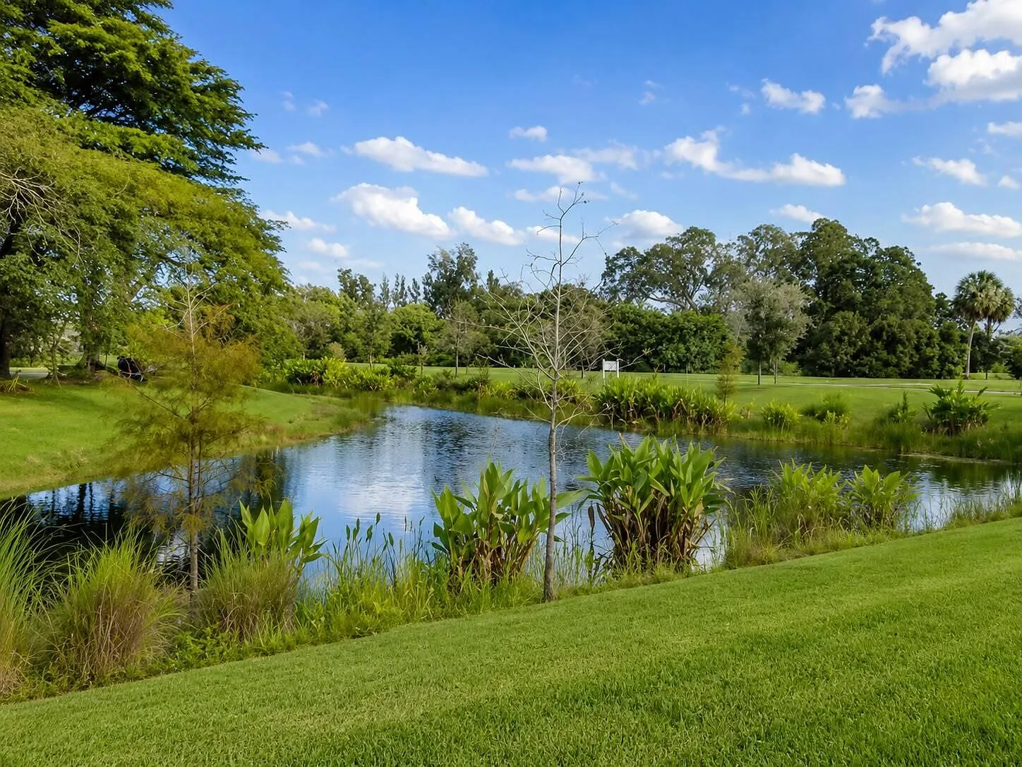 4 bed, 2.5 bath, 1918 sqft, $5,200 — Photo 4