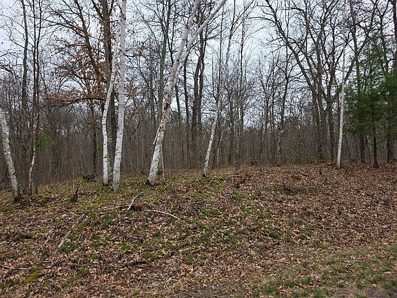 5th image of LOT 8 Lukes Ln