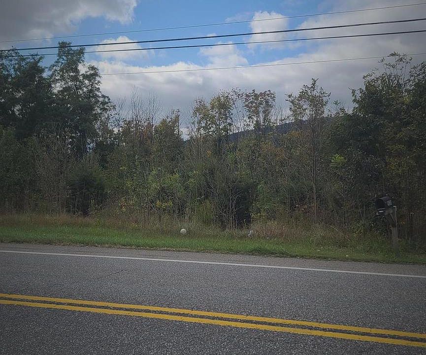 2nd image of Lots 14 15 16 Waynesboro Rd