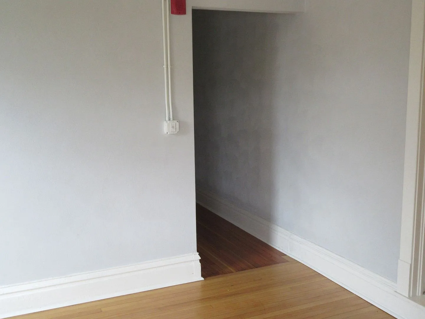 446 — Photo 3