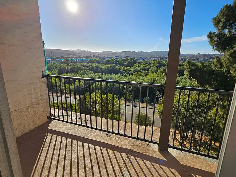 31362 Club Vista Ln — Photo 30