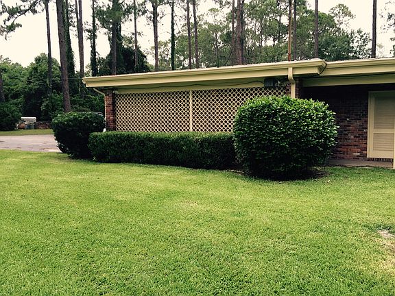 Manicured Yard