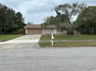 717 Hillpoint Way, Brandon, FL 33510