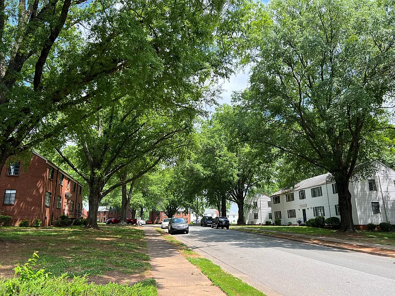Ardmore Terrace — Photo 10
