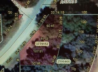 42 County Rd, Paisley, FL 32767