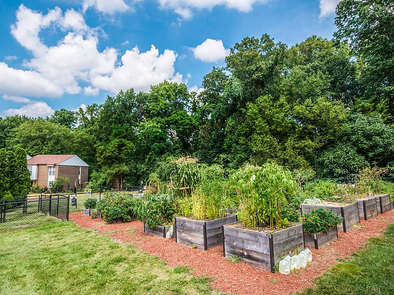 Try your green thumb in our community garden