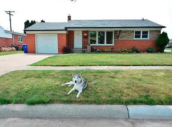 5th image of this home